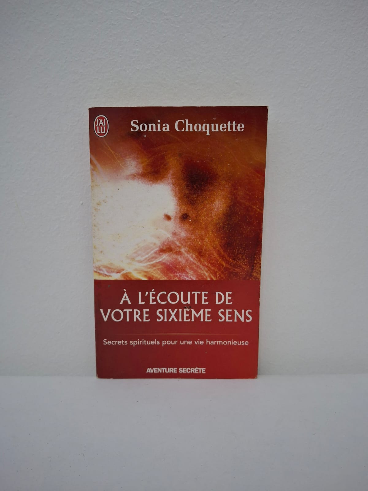 À l'écoute de votre sixième sens. Cet ouvrage explore le développement de l'intuition comme un outil essentiel pour naviguer dans la vie avec plus de fluidité. L'auteure partage des secrets spirituels et des exercices pratiques pour apprendre à reconnaître et à faire confiance à sa guidance intérieure. Le livre vise à transformer notre quotidien en une expérience plus harmonieuse en nous reconnectant à nos capacités psychiques naturelles.
