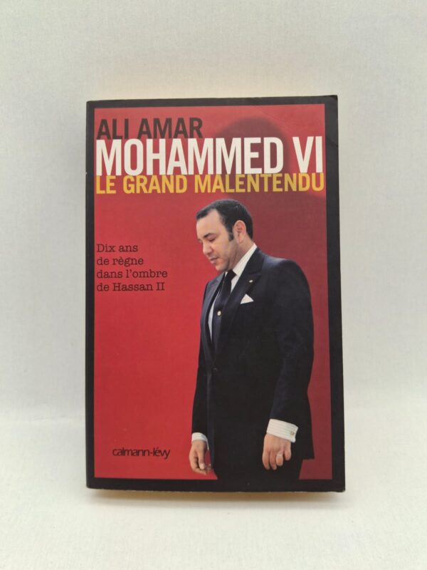 Ce livre analyse les dix premières années du règne de Mohammed VI au Maroc. Il questionne les espoirs de réformes politiques et sociales annoncées au début de son pouvoir. L’auteur met en lumière les continuités avec le règne de Hassan II, notamment sur le plan politique. Il propose une critique du fonctionnement du pouvoir et des limites du changement dans le pays.