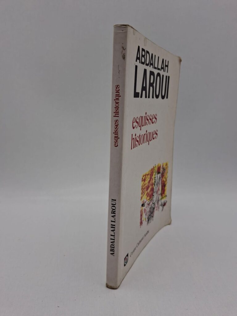 Ce livre propose une réflexion sur l’histoire du Maroc et du monde arabe à travers plusieurs analyses. L’auteur aborde les grandes évolutions historiques et les questions d’identité et de modernité. Il offre une lecture critique des interprétations traditionnelles de l’histoire. L’ouvrage invite à repenser le passé pour mieux comprendre les enjeux contemporains.