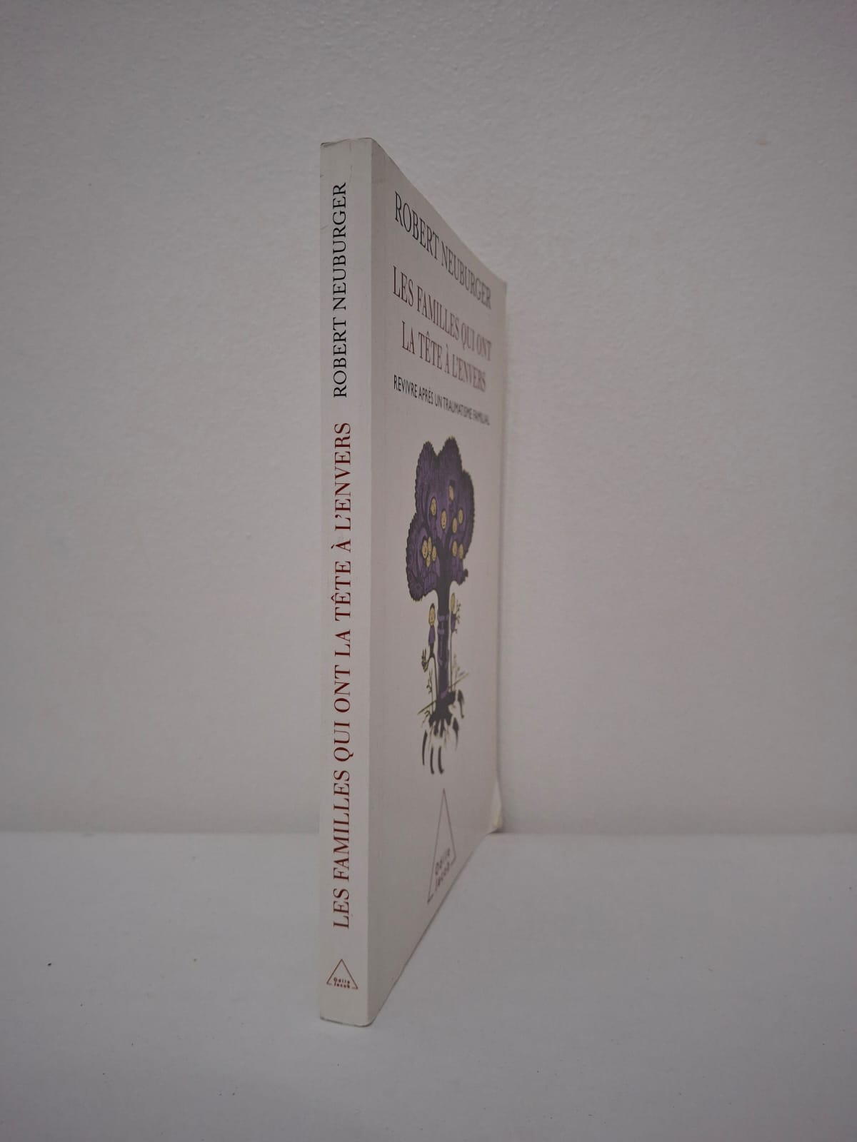 Robert neuburger Ce livre de Robert Neuburger analyse comment les familles peuvent surmonter des chocs brutaux ou des secrets douloureux qui bouleversent leur équilibre. L'auteur explore les mécanismes de résilience et propose des pistes pour reconstruire les liens familiaux après un traumatisme. Il met en lumière l'importance de la parole et de la solidarité pour retrouver une stabilité commune. C’est un ouvrage essentiel pour comprendre la thérapie familiale et la guérison collective.