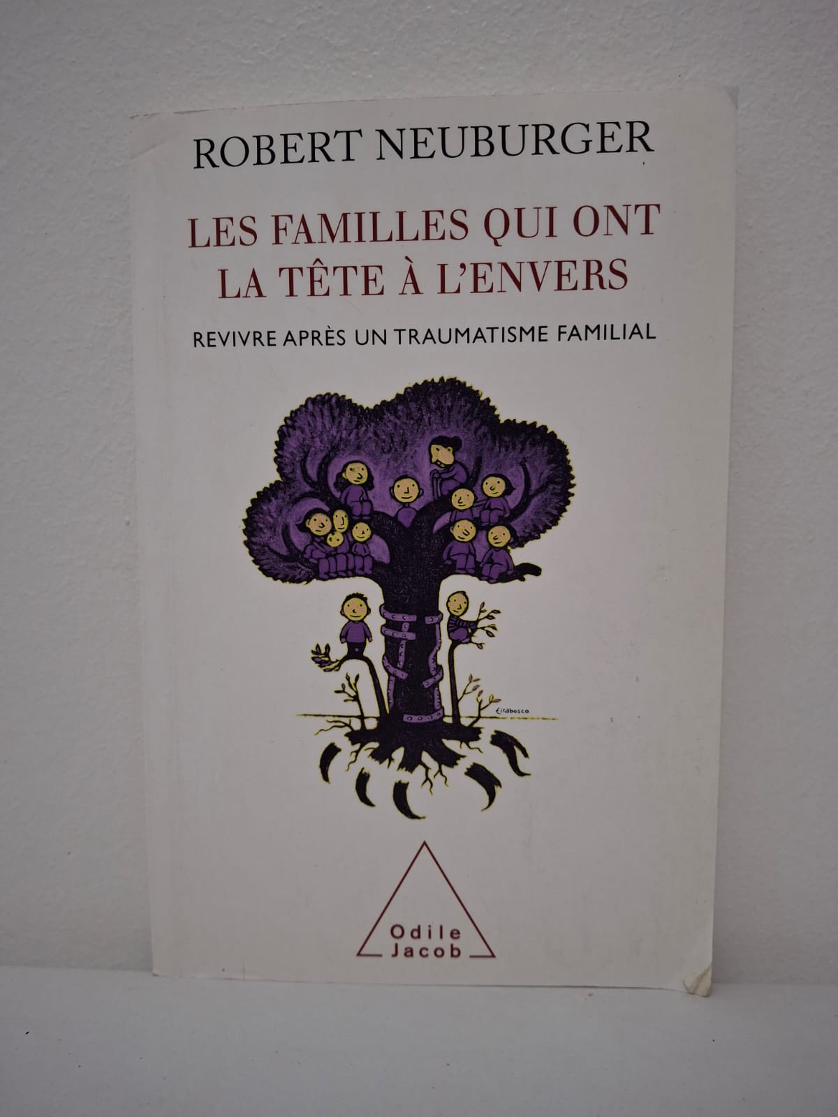 Robet neuburger Ce livre de Robert Neuburger analyse comment les familles peuvent surmonter des chocs brutaux ou des secrets douloureux qui bouleversent leur équilibre. L'auteur explore les mécanismes de résilience et propose des pistes pour reconstruire les liens familiaux après un traumatisme. Il met en lumière l'importance de la parole et de la solidarité pour retrouver une stabilité commune. C’est un ouvrage essentiel pour comprendre la thérapie familiale et la guérison collective.