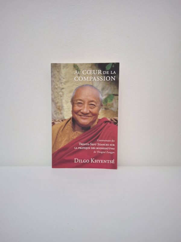 Ce livre est un commentaire profond des Trente-sept Stances sur la pratique des Bodhisattvas de Thogmé Zangpo. Dilgo Khyentsé, l'un des plus grands maîtres du XXe siècle, y explique comment transformer chaque situation de la vie en une opportunité d'éveil. L'enseignement se concentre sur le développement de l'altruisme, de la patience et de la sagesse face aux difficultés. C'est un guide pratique pour ceux qui souhaitent cultiver une paix intérieure durable et une compassion universelle.