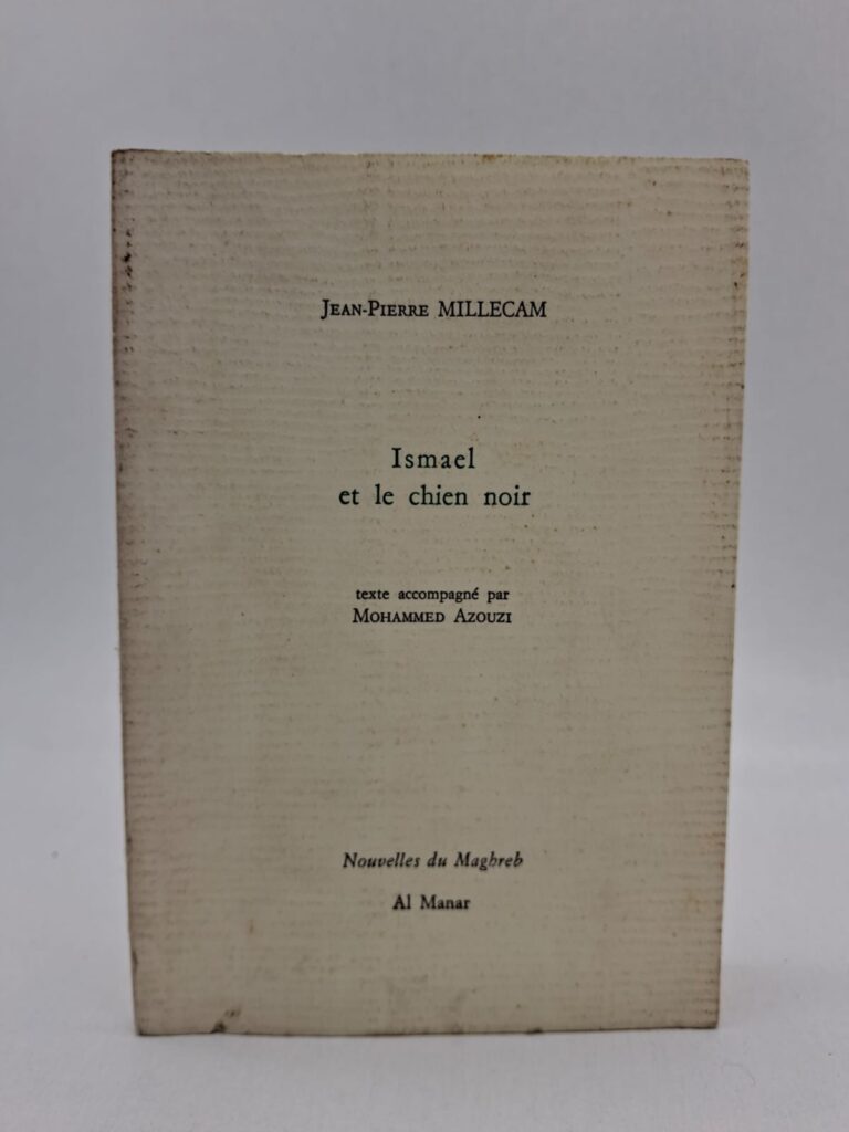 Ce récit s'inscrit dans la collection "Nouvelles du Maghreb", mettant en lumière les complexités sociales et humaines de cette région. L'auteur utilise une plume sensible pour raconter l'histoire d'Ismaël, mêlant réalisme quotidien et symbolisme marqué par la figure du "chien noir". Le texte est enrichi par la collaboration avec Mohammed Azouzi, apportant une dimension visuelle ou contextuelle qui renforce l'immersion culturelle. C'est une réflexion profonde sur l'altérité, les croyances populaires et la quête de soi dans un environnement en constante mutation