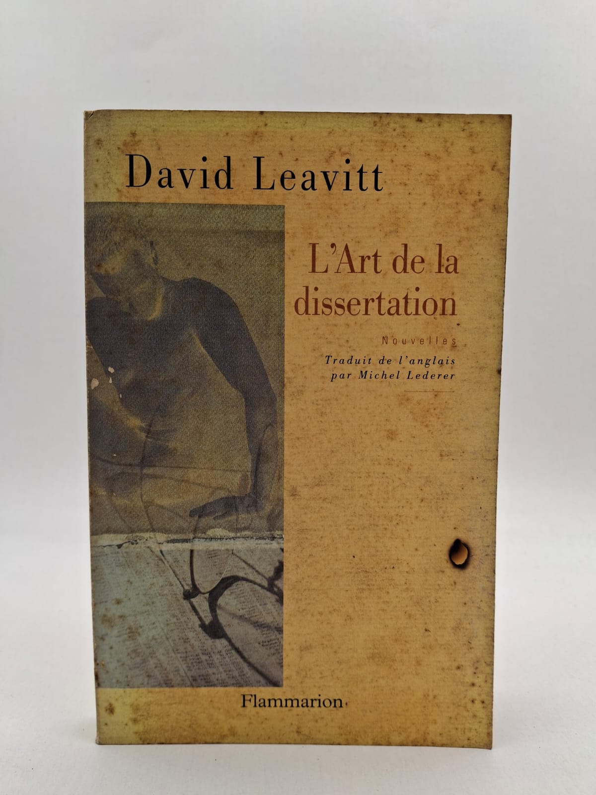 L’Art de la dissertation David Leavitt L’Art de la dissertation présente plusieurs histoires courtes centrées sur la vie quotidienne et les sentiments humains. David Leavitt aborde des thèmes comme l’amour, la solitude et les difficultés familiales. Les personnages vivent des situations simples mais chargées d’émotion. Le style de l’auteur est clair, sensible et psychologique.