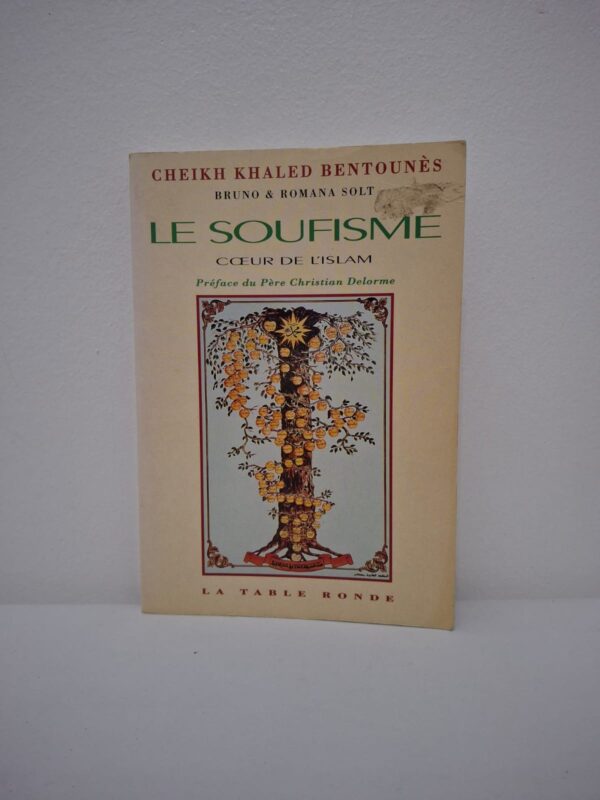 L'ouvrage présente le soufisme non pas comme une secte, mais comme la dimension mystique et universelle de l'Islam, centrée sur l'amour et la connaissance de soi. Le Cheikh explique comment cette voie spirituelle permet de concilier tradition et modernité tout en favorisant le dialogue entre les cultures. À travers les concepts de paix intérieure et de fraternité, il propose un remède aux interprétations littéralistes et rigides de la religion. C'est une invitation à découvrir un Islam de lumière, axé sur la transformation du cœur et l'éveil de la conscience humaine.