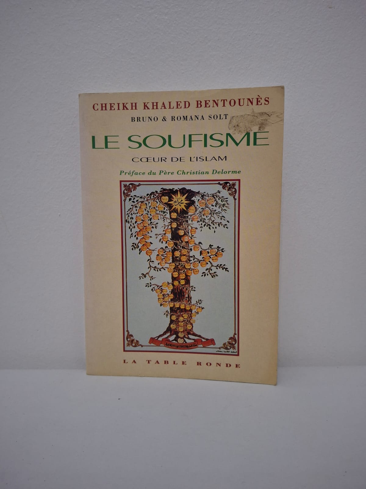 Le Soufisme, cœur de l'Islam-Cheikh Khaled Bentounès L'ouvrage présente le soufisme non pas comme une secte, mais comme la dimension mystique et universelle de l'Islam, centrée sur l'amour et la connaissance de soi. Le Cheikh explique comment cette voie spirituelle permet de concilier tradition et modernité tout en favorisant le dialogue entre les cultures. À travers les concepts de paix intérieure et de fraternité, il propose un remède aux interprétations littéralistes et rigides de la religion. C'est une invitation à découvrir un Islam de lumière, axé sur la transformation du cœur et l'éveil de la conscience humaine.