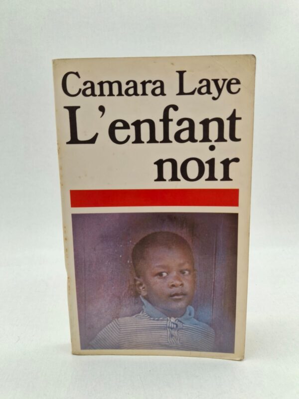 L’œuvre décrit la vie quotidienne du jeune Camara dans un village africain entouré de sa famille et des traditions. Le roman met en valeur les coutumes, les croyances et les rites initiatiques de la société guinéenne. À travers son parcours, le héros découvre l’école, le travail et les changements liés à la modernité.