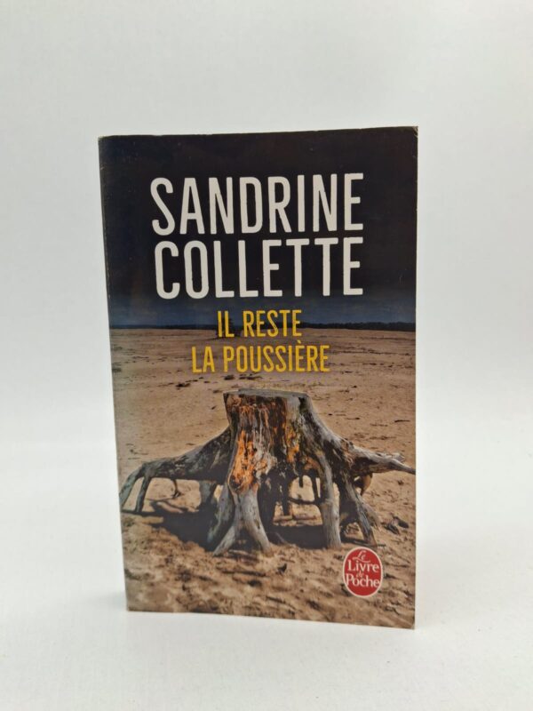 L’histoire suit une famille vivant dans une région isolée et aride où règnent la dureté et la peur. Les personnages luttent pour survivre dans un environnement hostile marqué par les conflits familiaux. Le roman explore les thèmes de la souffrance, de l’enfance brisée et de la quête de liberté. Avec une écriture puissante, Sandrine Collette crée une atmosphère dramatique et profondément émouvante.