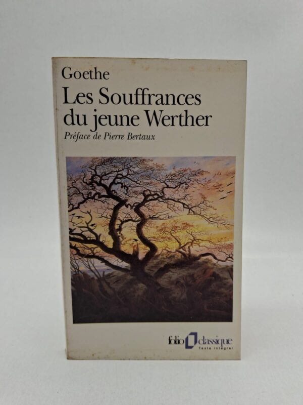 Le récit, composé principalement des lettres du jeune Werther à son ami Wilhelm, relate sa passion dévorante et impossible pour Charlotte. Bien que Charlotte éprouve de l'affection pour lui, elle est déjà fiancée puis mariée à Albert, un homme d'une droiture rationnelle qui contraste avec l'exaltation de Werther. Werther, incapable de trouver sa place dans une société rigide et dévasté par son chagrin amoureux, s'enfonce progressivement dans une mélancolie profonde. Le roman s'achève tragiquement par le suicide du protagoniste, un dénouement qui provoqua à l'époque un immense retentissement culturel à travers toute l'Europe