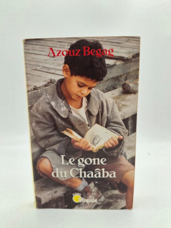 Le gone du Chaâba-Azouz Begag