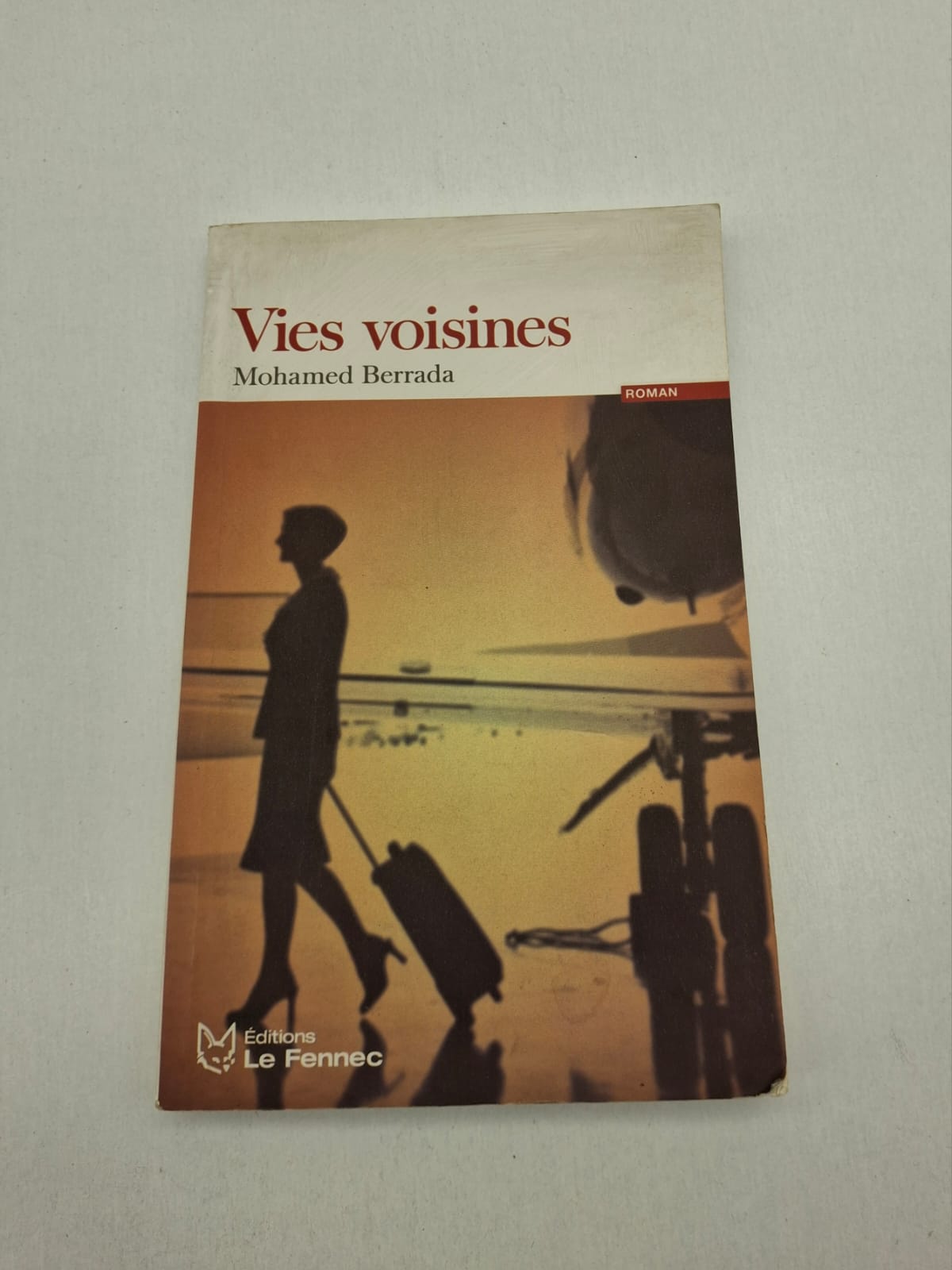 Vies voisines Mohamed Berrada Vies voisines est un roman de Mohamed Berrada qui explore les relations humaines et la société contemporaine.