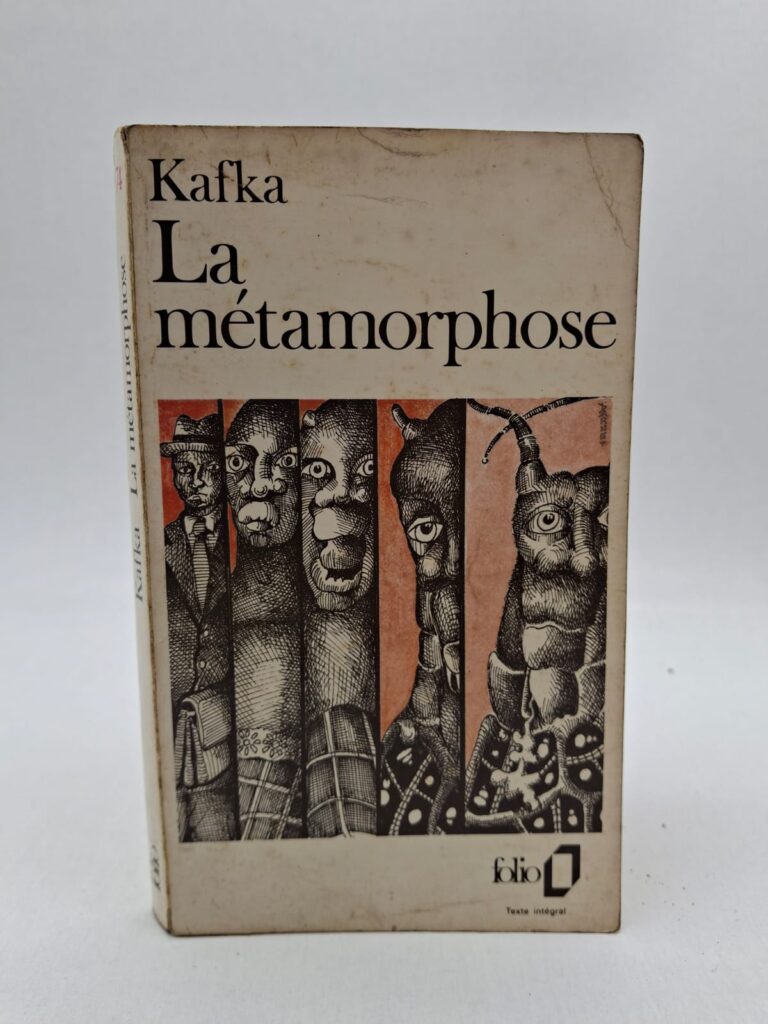 Gregor Samsa se réveille un matin transformé en insecte géant. Sa famille est choquée et commence à le rejeter peu à peu. Gregor souffre de solitude et ne peut plus vivre normalement. Le récit montre la tristesse, l’exclusion et la difficulté des relations humaines.