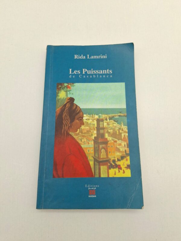 Un roman captivant qui dévoile les mécanismes du pouvoir et les tensions sociales dans la ville de Casablanca.