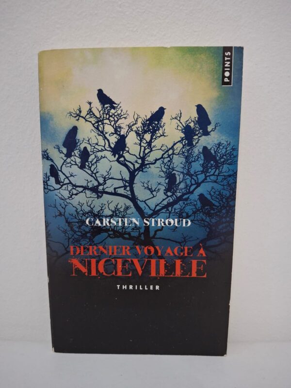 Ce thriller raconte des événements mystérieux dans la petite ville de Niceville. Des personnes disparaissent sans explication et la peur grandit parmi les habitants. Le policier Nick Kavanaugh mène une enquête dangereuse pour découvrir la vérité. Le roman mélange suspense, mystère et phénomènes inquiétants.