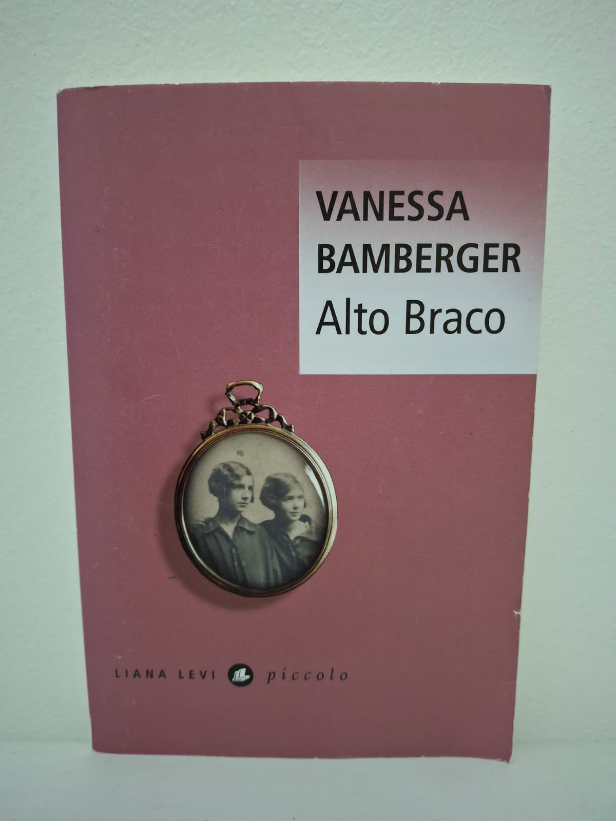 Vanessa Bamberger Liana Levi Alto Braco est un roman émouvant qui explore les racines familiales et la quête d’identité.