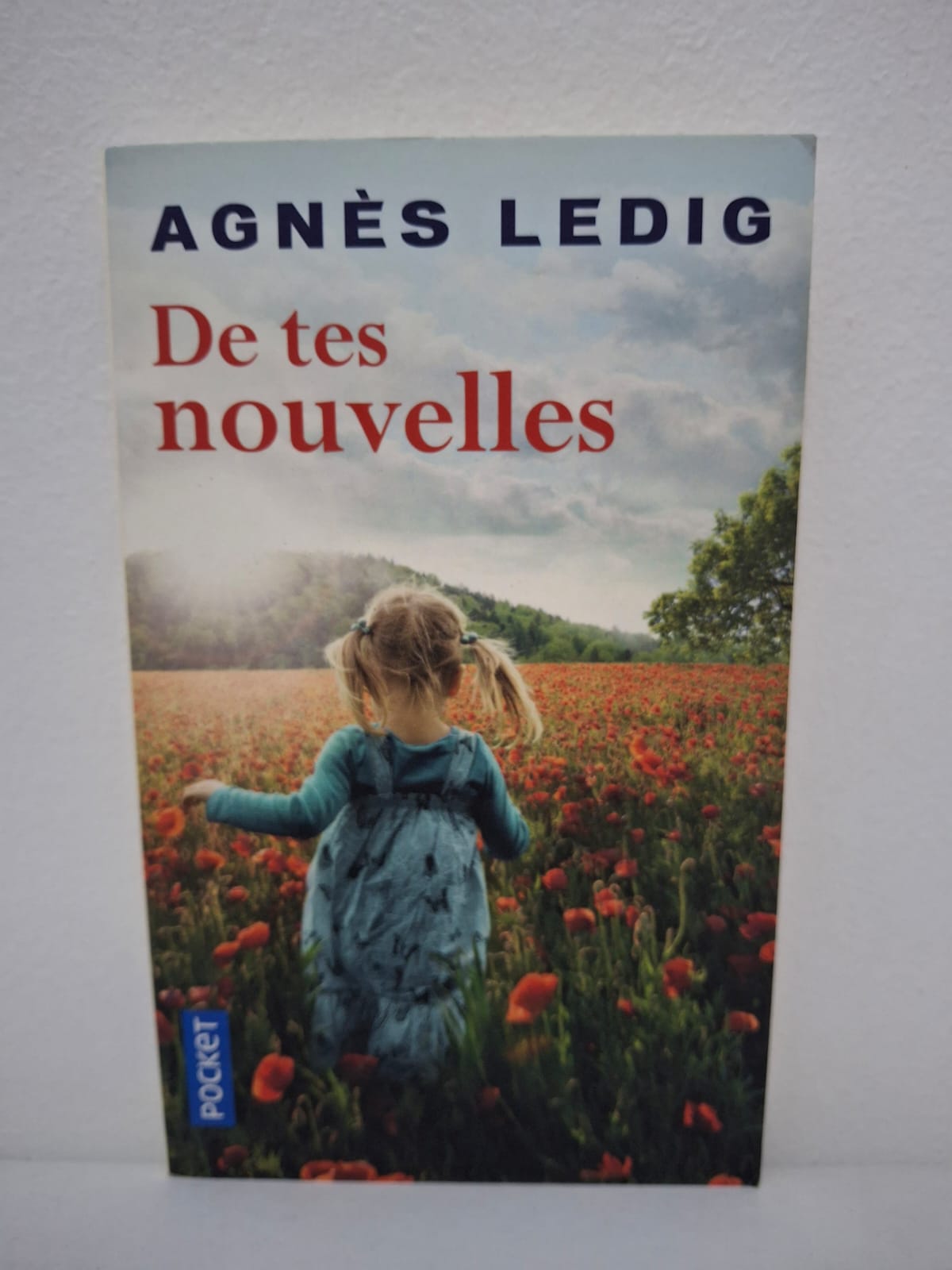 De tes nouvelles Agnès Ledig Ce roman raconte l’histoire d’Anna-Nina, une jeune femme marquée par les difficultés de la vie. À travers des rencontres et des épreuves, elle tente de retrouver le bonheur et la sérénité. Le récit met en avant la solidarité, l’amour familial et l’espoir malgré la souffrance. Agnès Ledig écrit avec émotion et humanité sur la reconstruction personnelle.