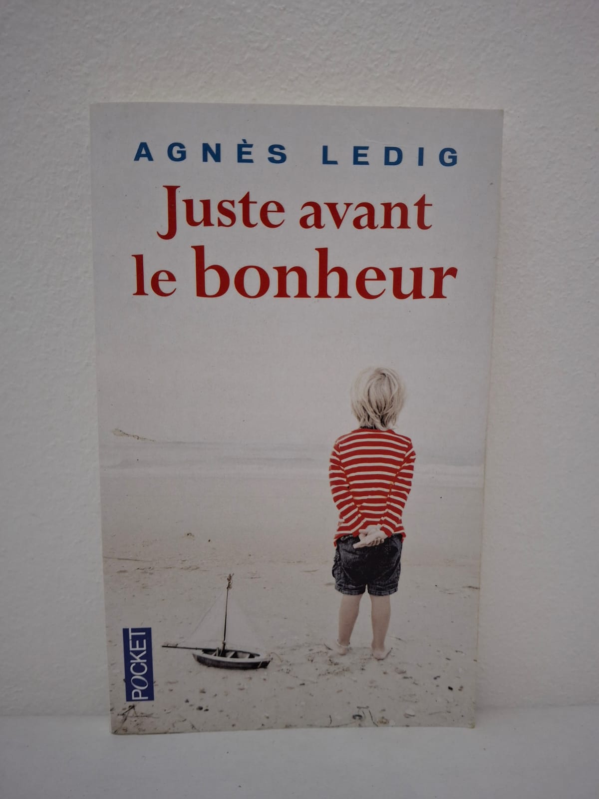 Juste avant le bonheur Agnès Ledig Juste avant le bonheur est un roman sensible qui montre que l’espoir peut renaître après les épreuves de la vie.