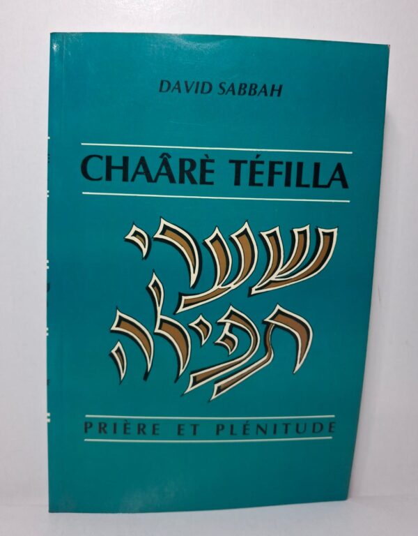 Le livre traite vraisemblablement de la signification spirituelle de la prière. Il cherche à aider le lecteur à développer une relation plus profonde avec la pratique religieuse. Les textes et commentaires peuvent expliquer les différentes prières et leur portée. L'objectif est d'atteindre une plus grande plénitude intérieure à travers la prière.