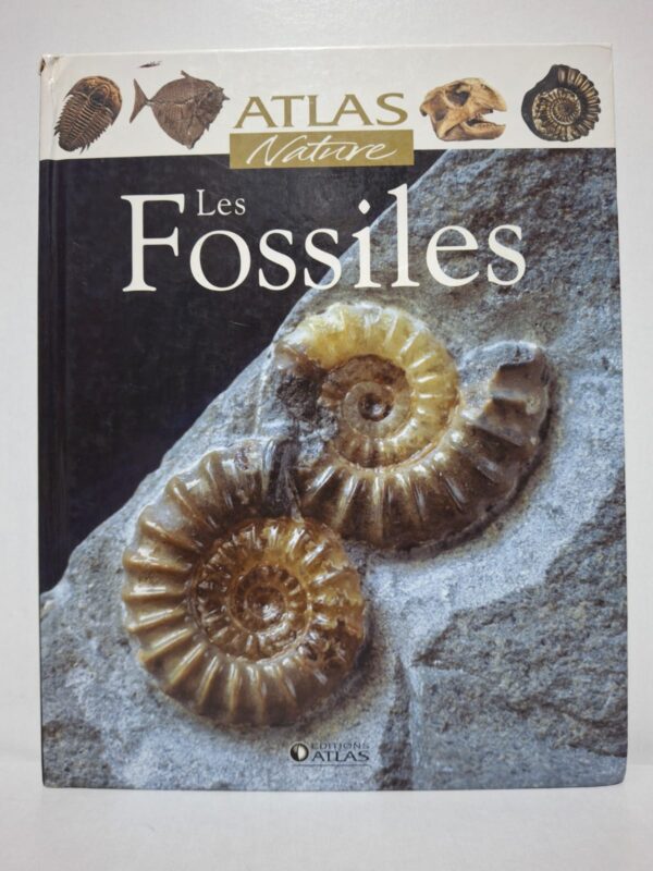Cet ouvrage présente le monde fascinant des fossiles et leur importance dans la compréhension de l’histoire de la Terre. Il explique les processus de fossilisation ainsi que les principales catégories de fossiles végétaux et animaux. Le livre retrace l’évolution de la vie à travers les différentes périodes géologiques. Richement illustré, il constitue un guide accessible pour découvrir la paléontologie et les espèces disparues.