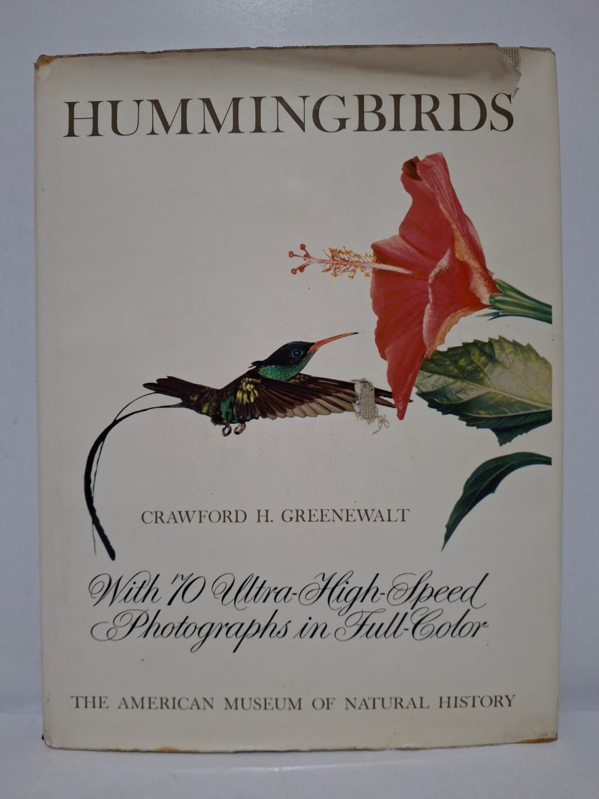 Hummingbirds&Crawford H. Greenewalt Ce livre présente le monde fascinant des colibris, de petits oiseaux connus pour leur rapidité et leur agilité. L’auteur utilise des photographies en couleur à très haute vitesse pour montrer leurs mouvements en vol. L’ouvrage décrit leur anatomie, leur comportement et leur relation avec les fleurs. Il constitue une référence scientifique et visuelle sur ces oiseaux remarquables.