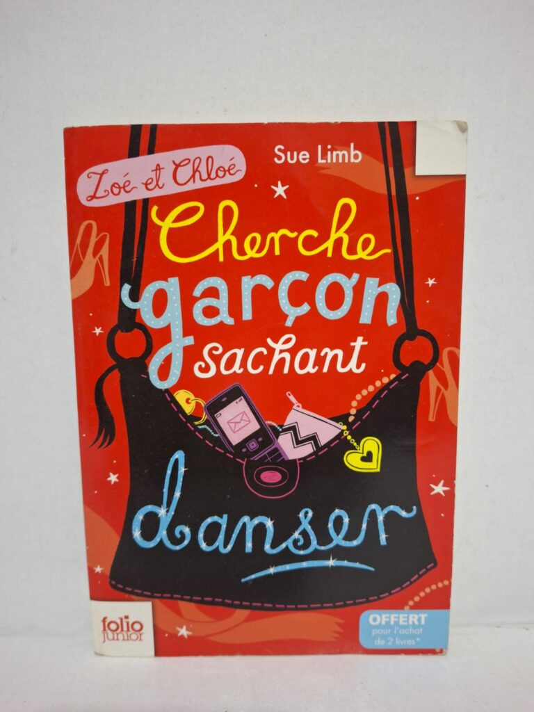 Zoé et Chloé : Cherche garçon sachant danser - Sue Limb