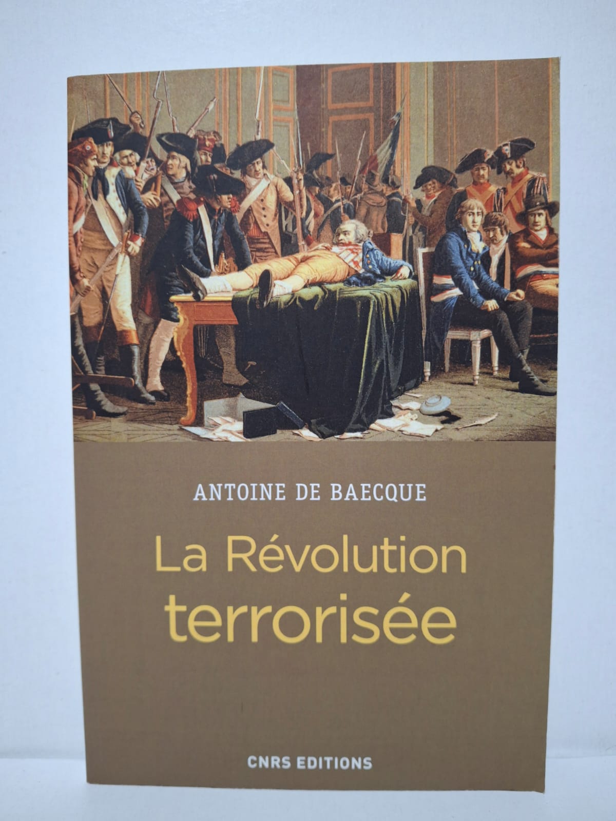 La Révolution terrorisée - Antoine de Baecque La Révolution terrorisée - Antoine de Baecque