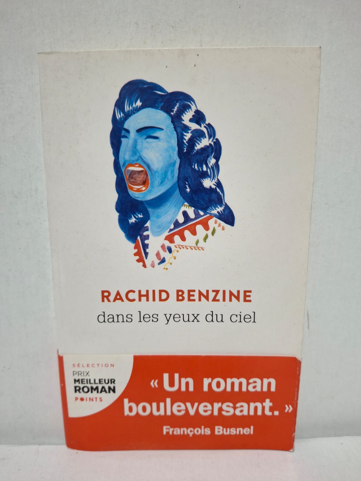 Dans les yeux du ciel - Rachid Benzine Dans les yeux du ciel - Rachid Benzine